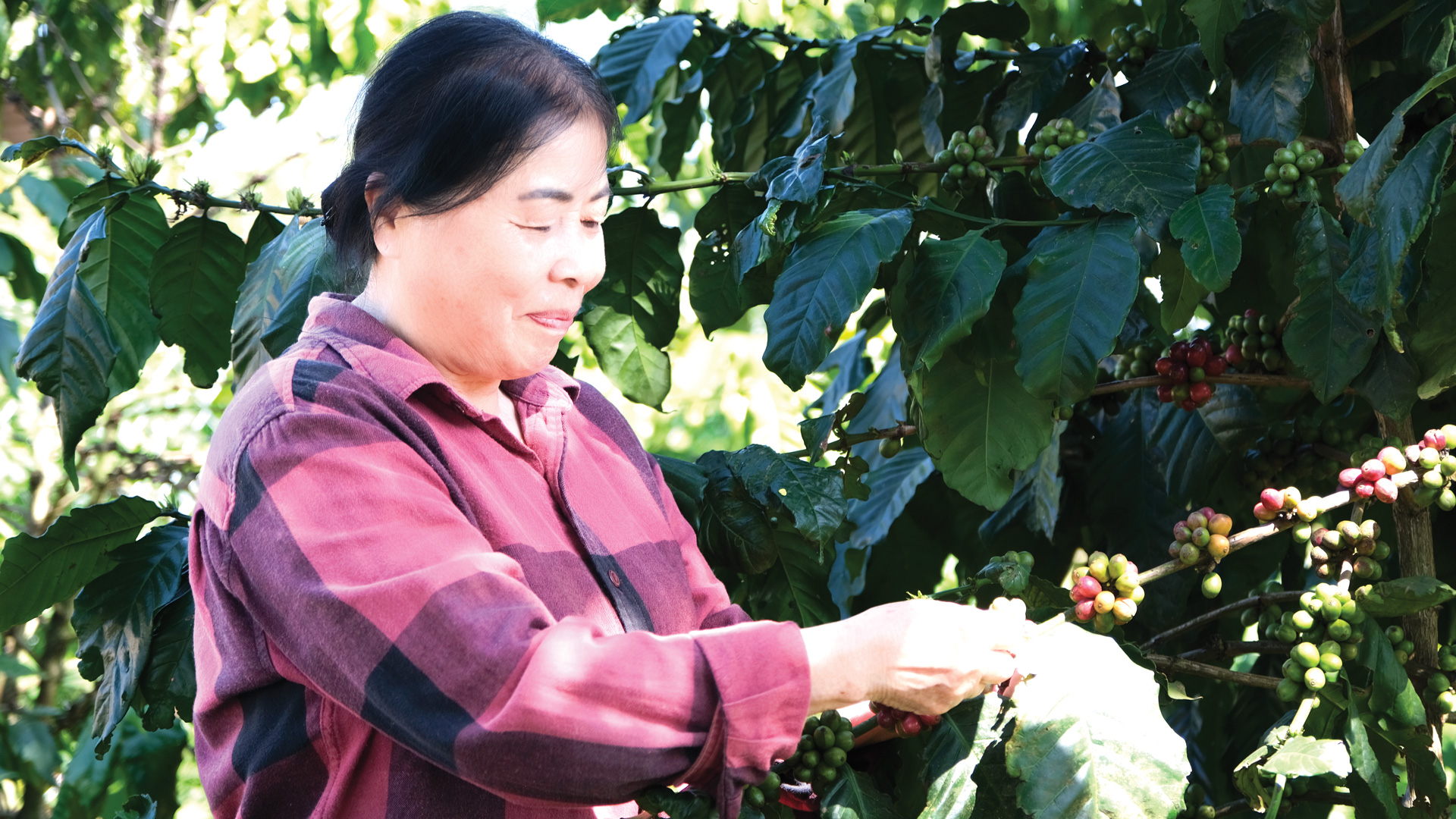 Cống hiến không ngơi nghỉ vì cộng đồng