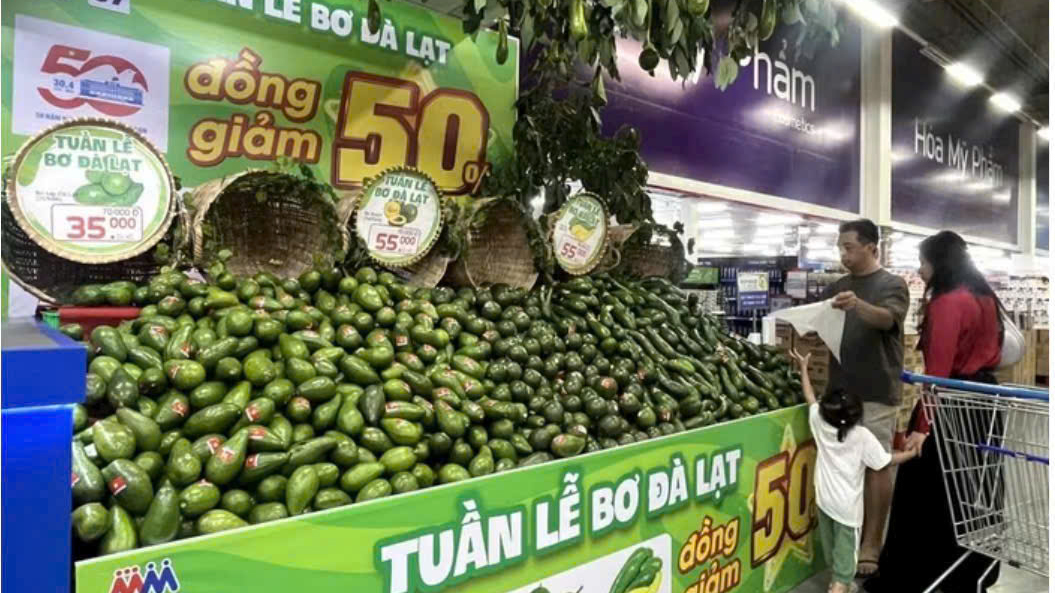 Tuần lễ quảng bá bơ Lâm Đồng tại TP Hồ Chí Minh