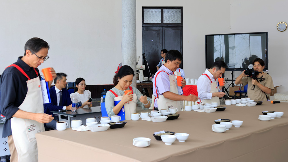 Thi tuyển chọn chất lượng cà phê Arabica Đà Lạt