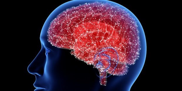 Hội chứng COVID kéo dài có thể liên quan đến thay đổi chức năng não bộ