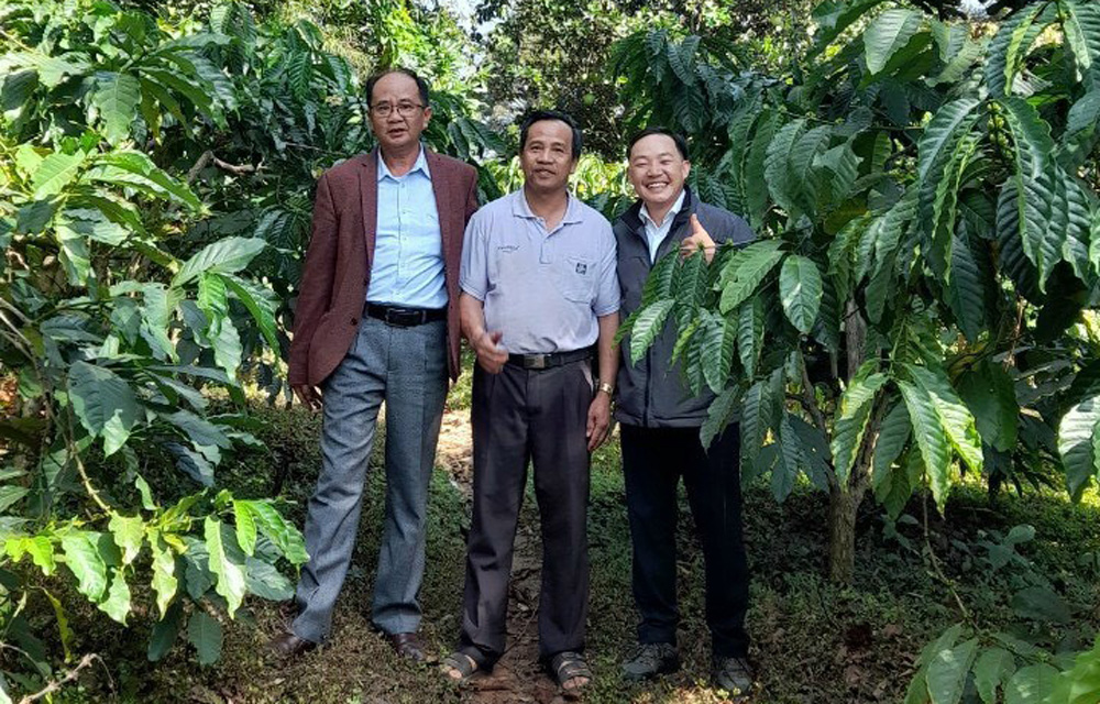 Cà phê cảnh quan ổn định lợi nhuận hàng năm
