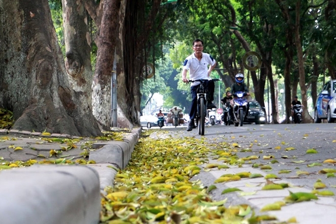 Thời tiết ngày 11/5: Bắc Bộ và Thanh Hóa trời chuyển mát