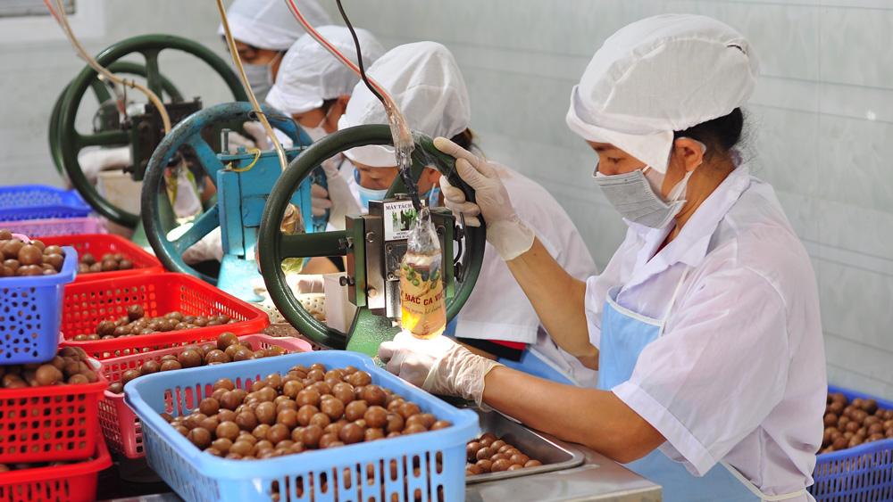 Hiệu quả khuyến công ở Di Linh