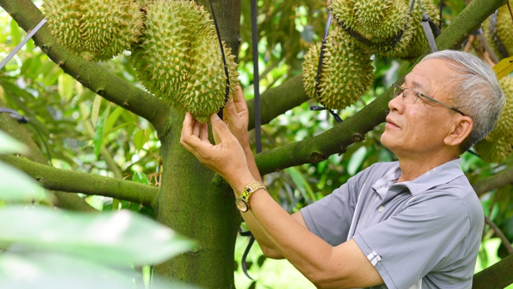 Ứng dụng khoa học và công nghệ phát triển vùng cây trái Đạ Huoai