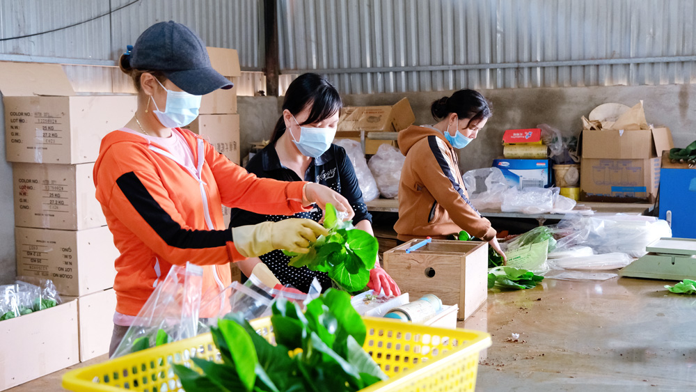 Huyện Đơn Dương sau 10 năm thực hiện Chương trình Khuyến công