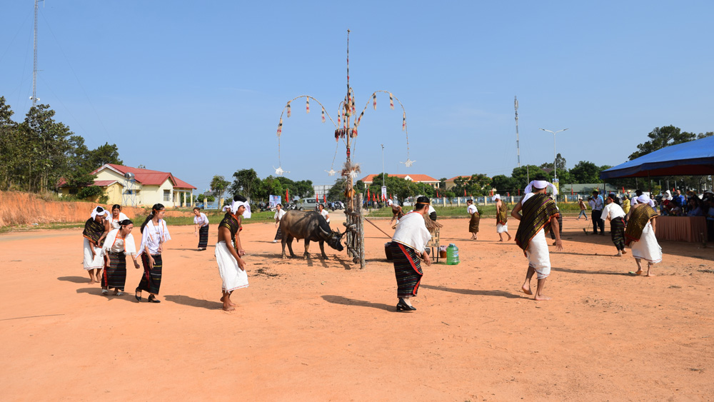 Đặc sắc Lễ hội Mừng lúa mới của người Churu