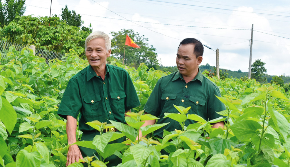 Người thương binh vượt khó, gương mẫu