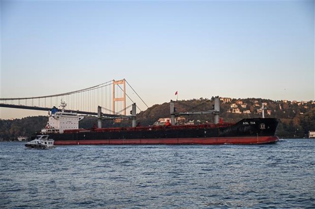 Ukraine hoan nghênh việc gia hạn Sáng kiến ngũ cốc Biển Đen