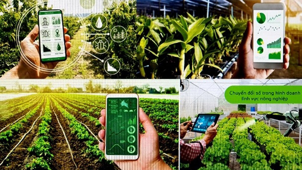 Khai thác và quản lý Hệ thống thông tin quốc gia về hợp tác xã