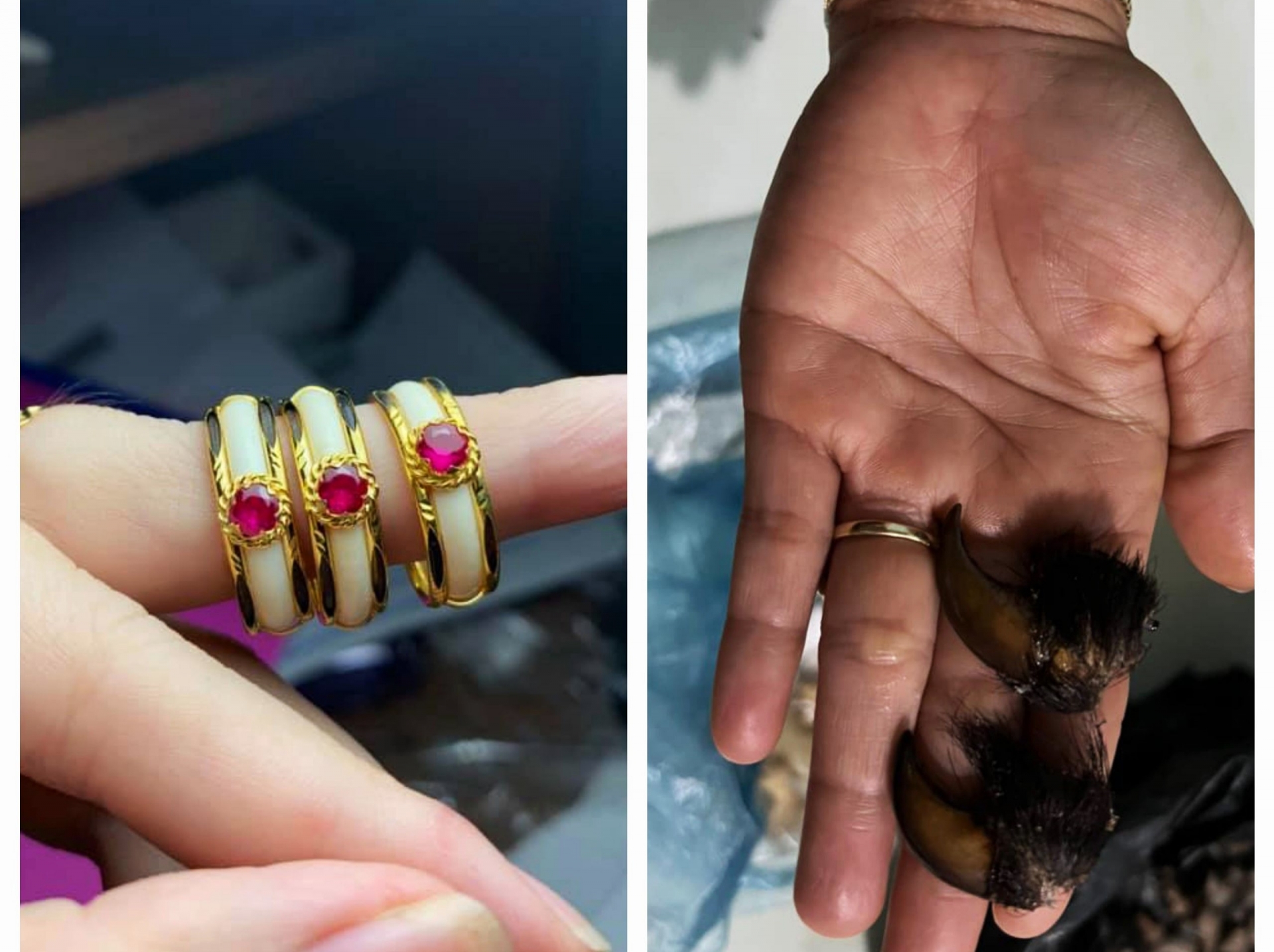 Cát Tiên: Quảng cáo rao bán đồ trang sức chế tác từ động vật hoang dã, 1 cá nhân bị phạt 85 triệu đồng