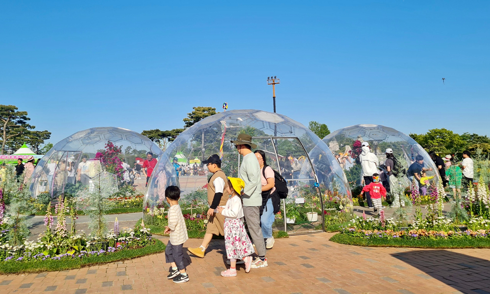 Lâm Đồng tham dự Lễ hội Bướm Hampyeong tại Hàn Quốc