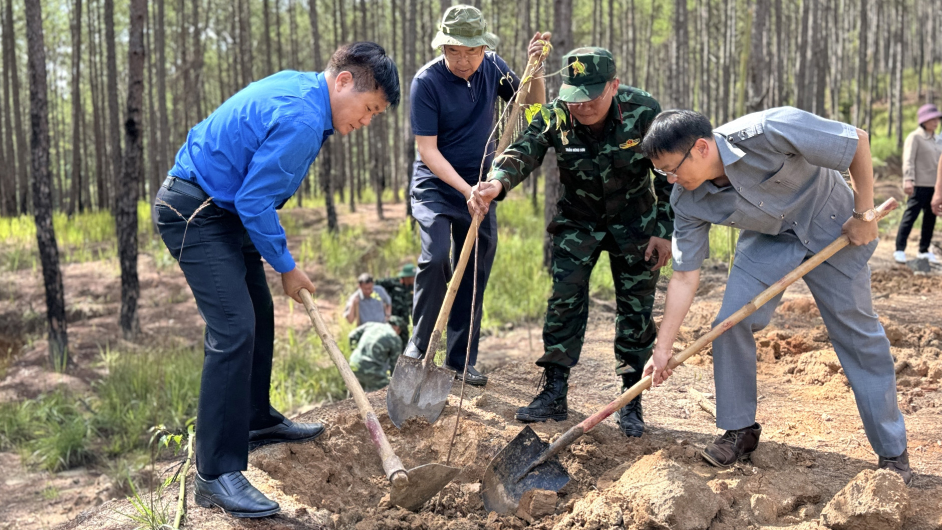 Đà Lạt: Trồng 1.000 cây xanh trong phong trào "Trồng rừng, trồng cây phân tán"