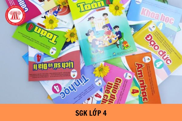 Triển khai việc đổi mới chương trình, sách giáo khoa giáo dục phổ thông