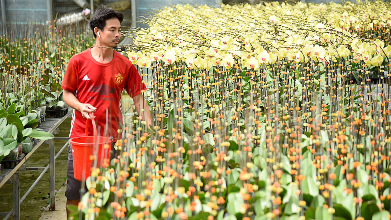 Gỡ vướng trong tiếp cận vốn tín dụng cho khu vực kinh tế tập thể