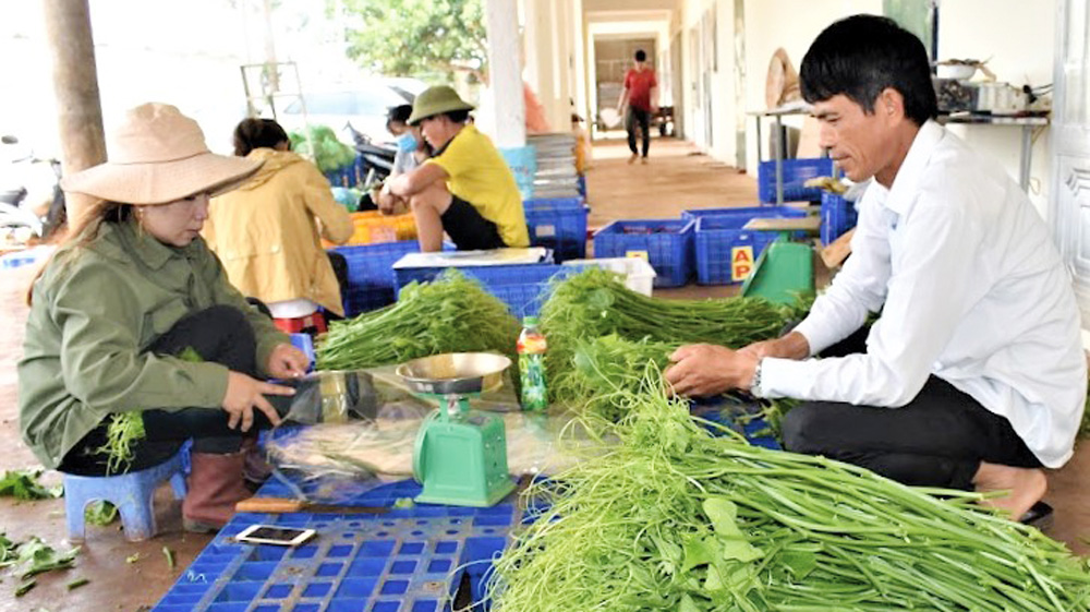 Nông nghiệp tuần hoàn - còn dồi dào tiềm năng (Bài 3)