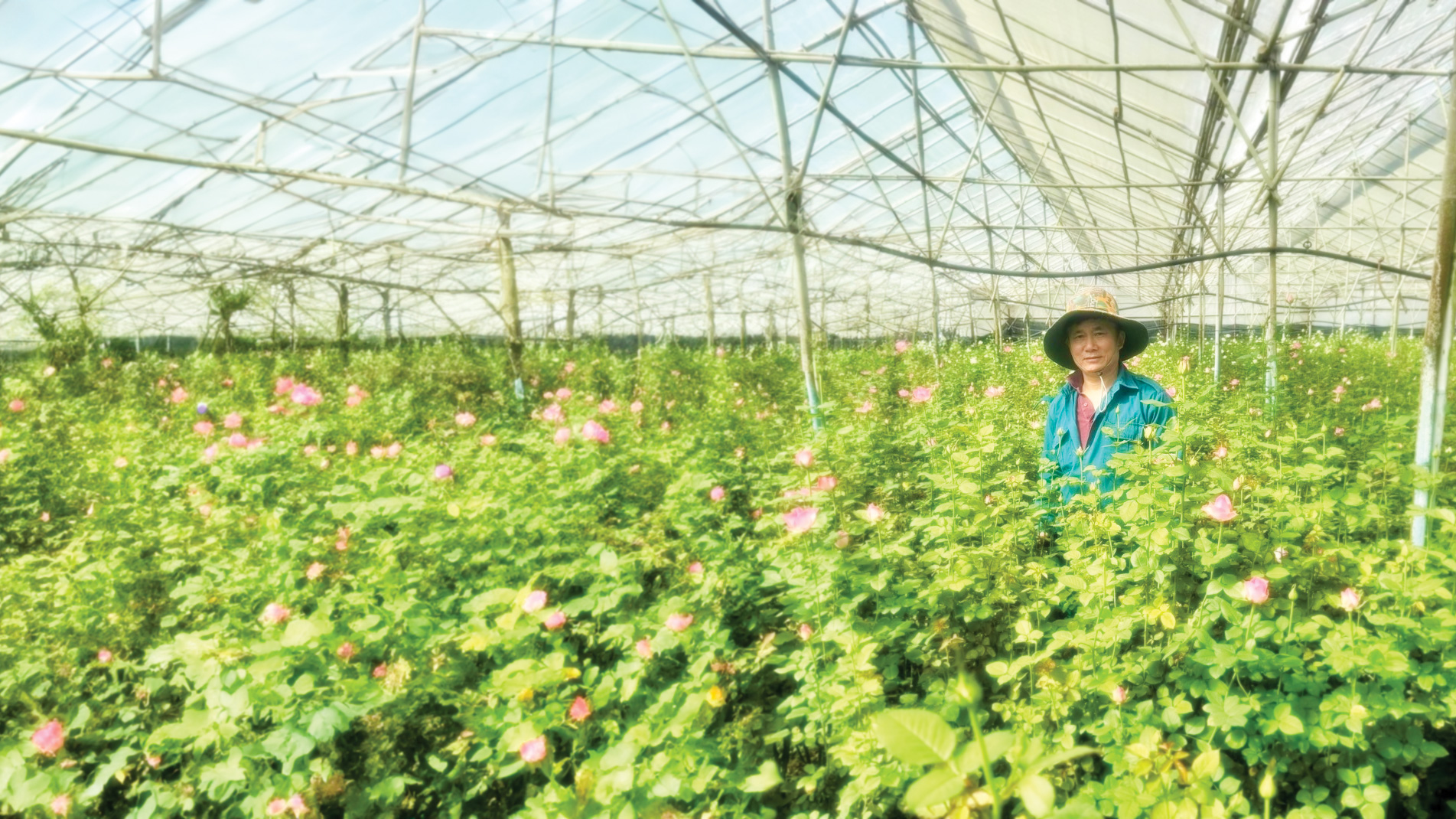 Phát huy phẩm chất bộ đội Cụ Hồ trong phát triển kinh tế - xã hội