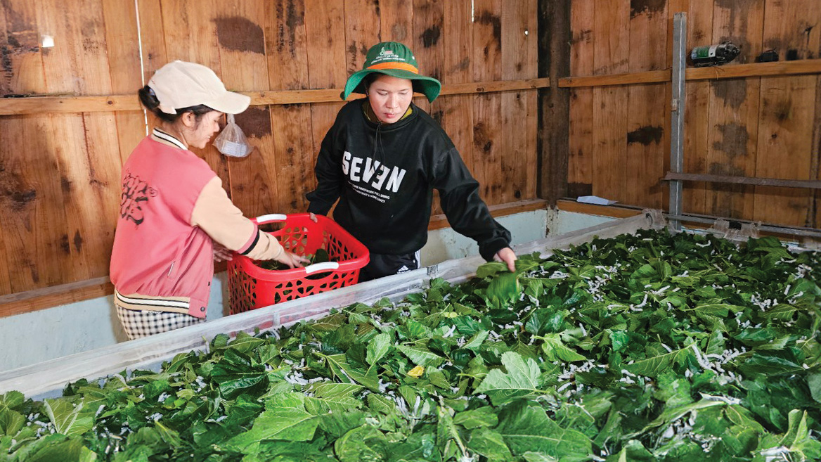 Người “truyền lửa” cho bà con vùng khó vươn lên