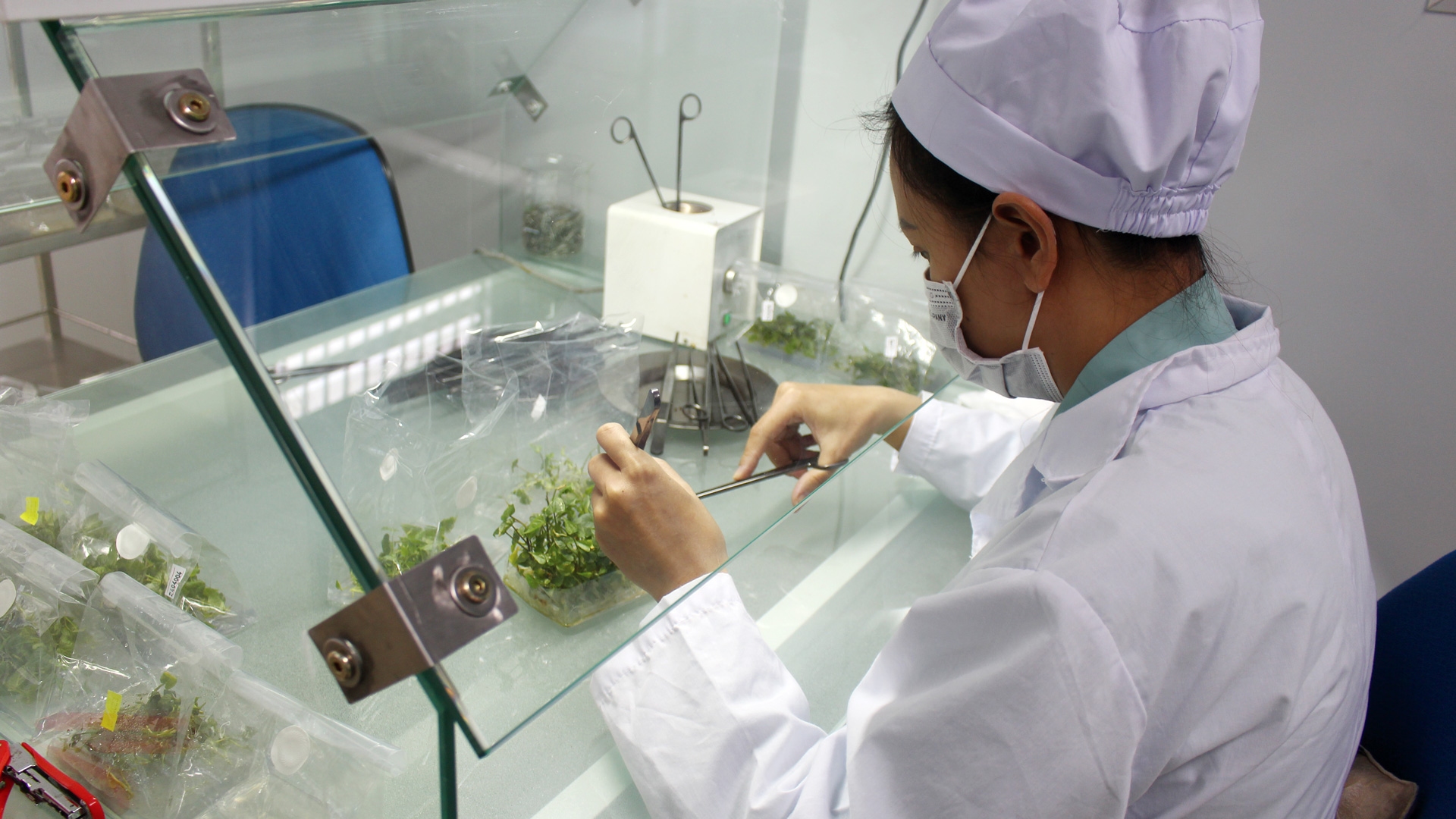 Tiên phong trong nghiên cứu khoa học và chuyển giao công nghệ