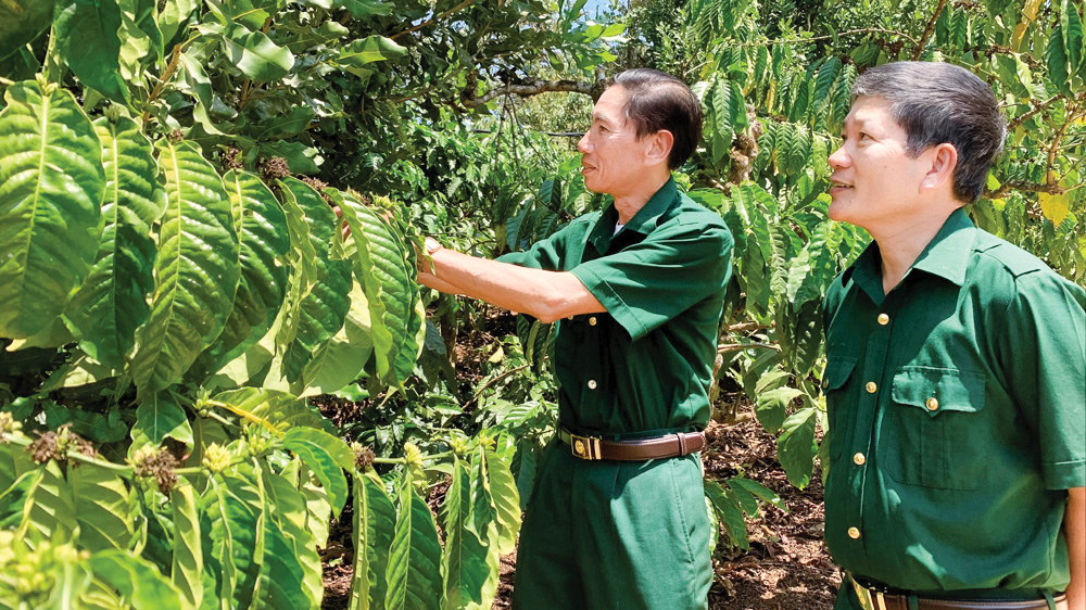 Dấu ấn Phong trào thi đua “Cựu chiến binh gương mẫu”