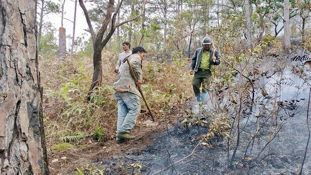 Tăng cường công tác quản lý, bảo vệ rừng