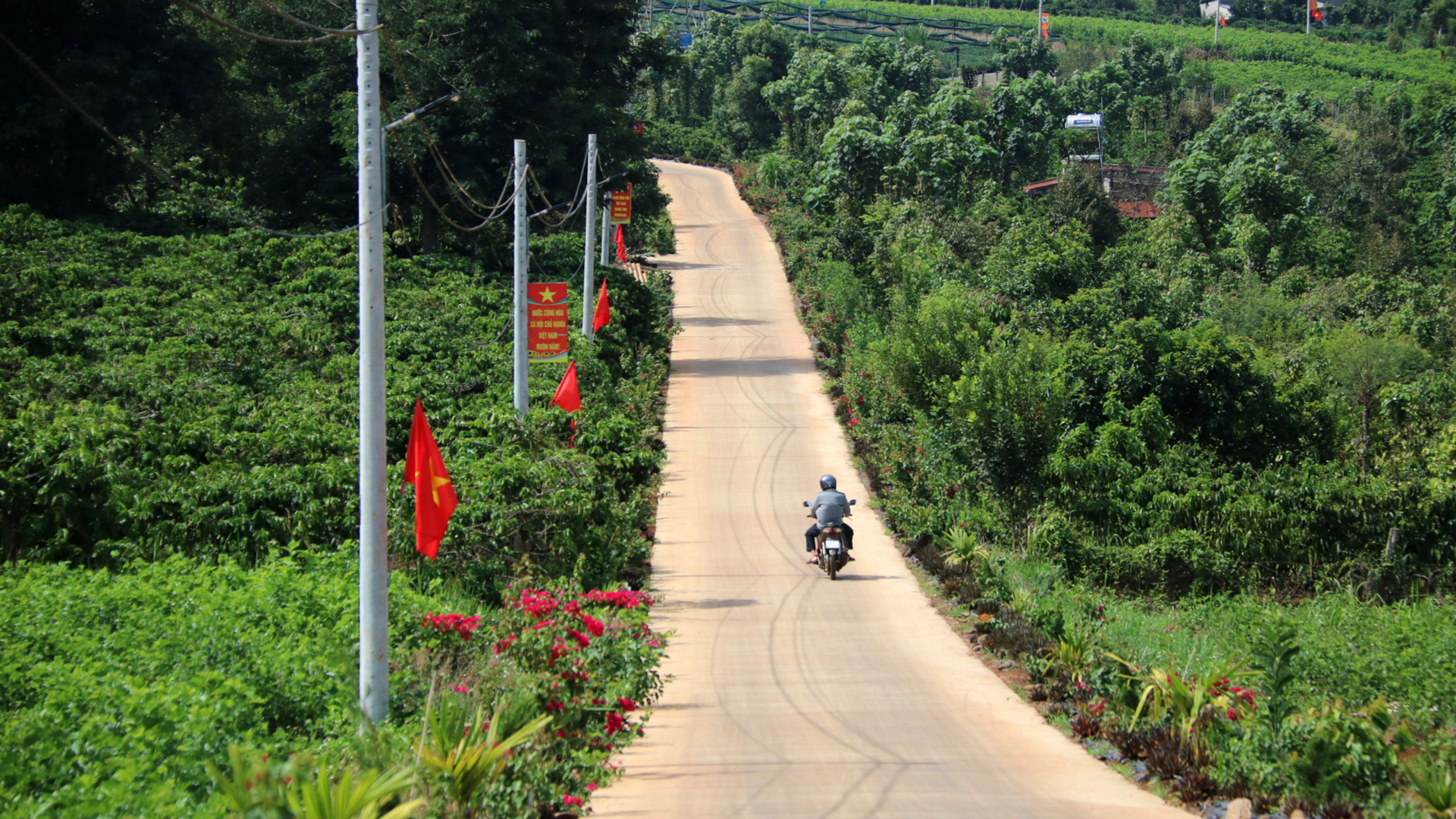 Liên Hà: Vững vàng xây dựng nông thôn mới nâng cao