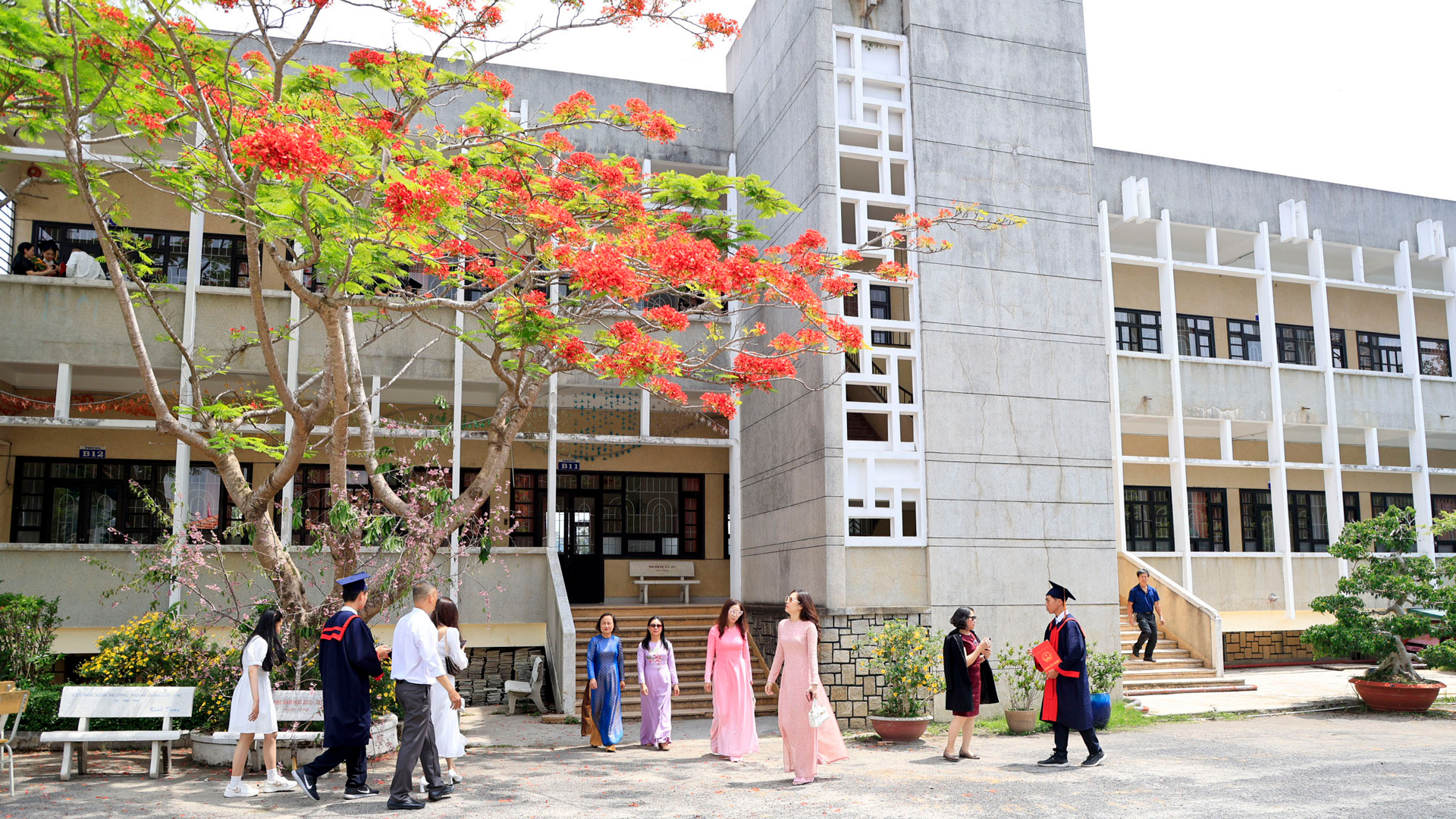 Đà Lạt những mảng màu xuân hè...