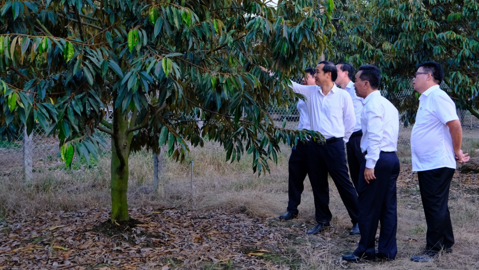 Đạ Huoai: Triển khai thực hiện Kết luận của đồng chí Quyền Bí thư Tỉnh ủy Lâm Đồng Nguyễn Thái Học