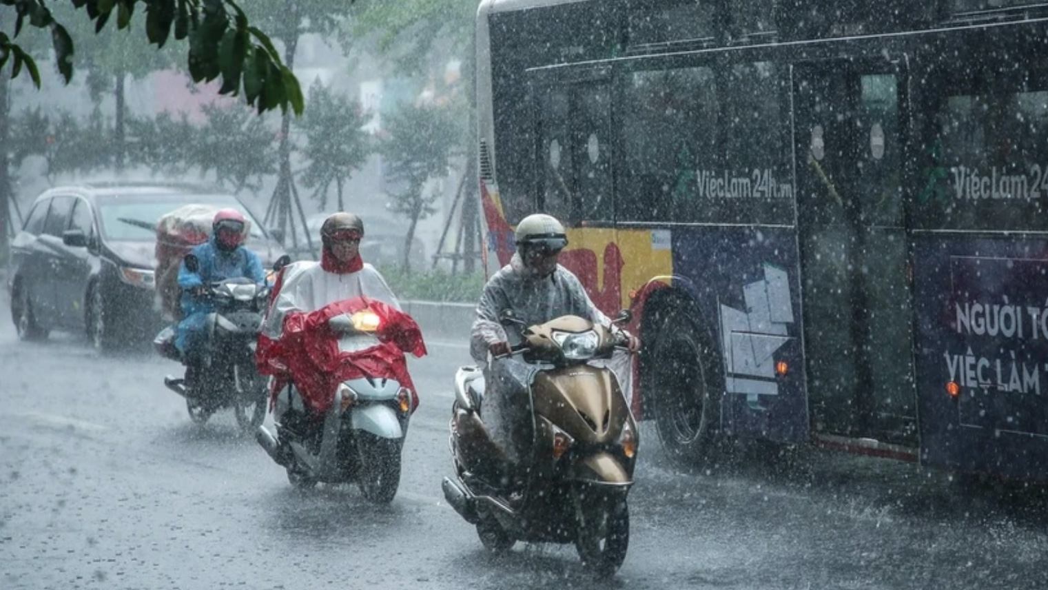 Bắc Bộ ngày nắng gián đoạn, Trung Bộ và Nam Bộ đêm mưa dông