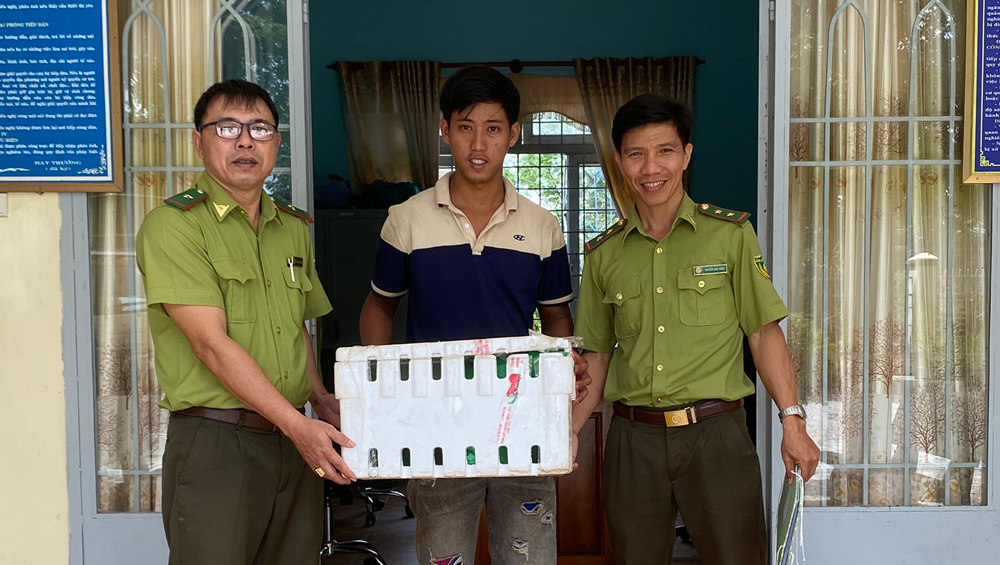 Cát Tiên: Thả cá thể rắn hổ mang chúa về rừng tự nhiên