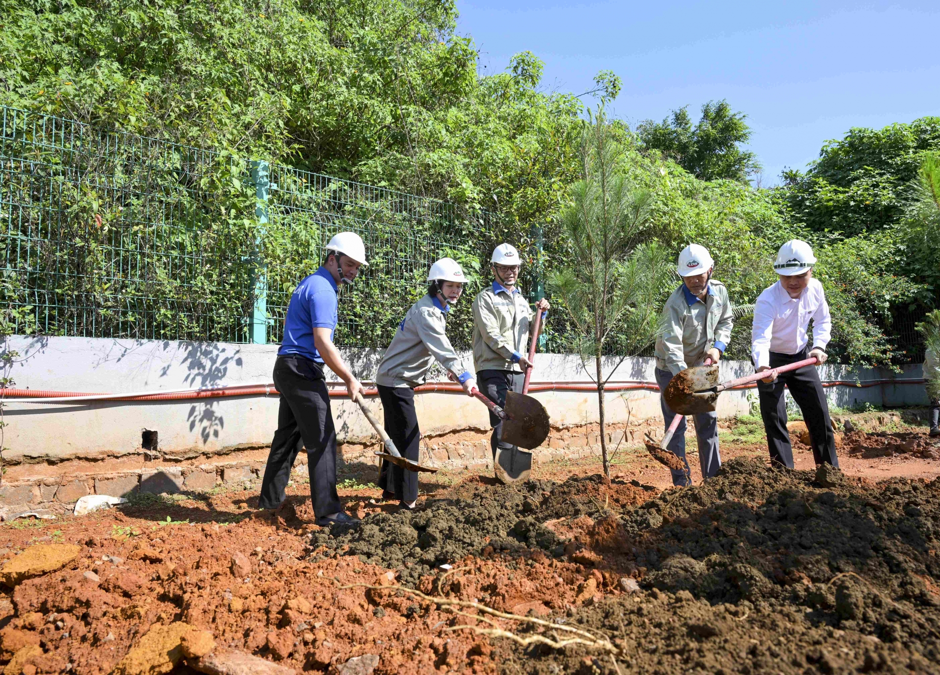 Công ty Nhôm Lâm Đồng - TKV phát động trồng cây Đời đời nhớ ơn Bác Hồ