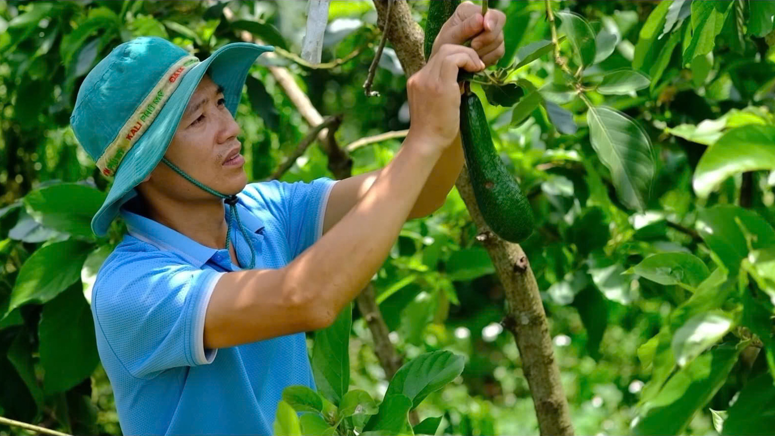 Bảo Lâm: Nâng tầm thương hiệu sản phẩm OCOP