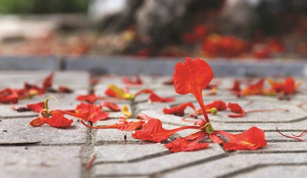 Tháng Năm và những điều còn gửi lại