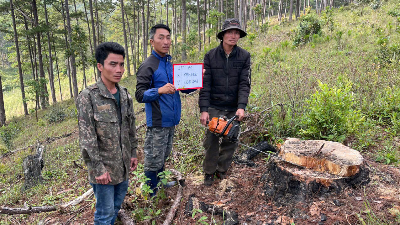 UBND tỉnh tặng bằng khen cho 1 tập thể, 6 cá nhân có thành tích phát hiện, điều tra vụ khai thác rừng trái pháp luật