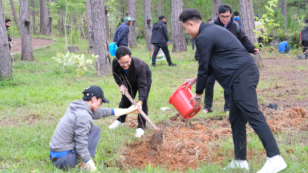 Đoàn viên, thanh niên ra quân trồng 200 cây mai anh đào tại Vườn quốc gia Bidoup - Núi Bà