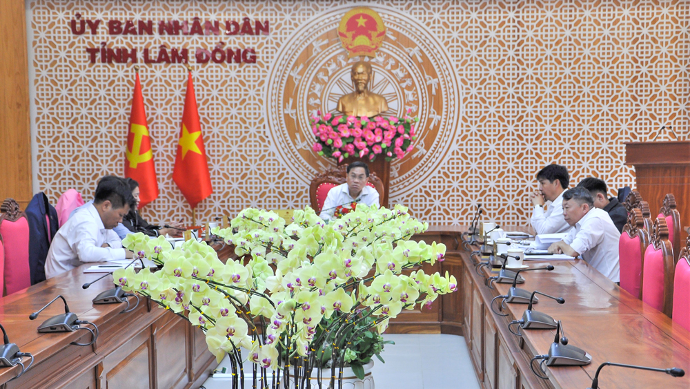 Hội nghị trực tuyến về dự thảo ban hành Nghị định quy định chi tiết một số điều và biện pháp thi hành Luật địa chất và khoáng sản