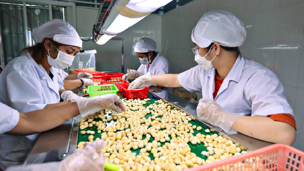 Toàn văn Nghị quyết số 68-NQ/TW về phát triển kinh tế tư nhân
