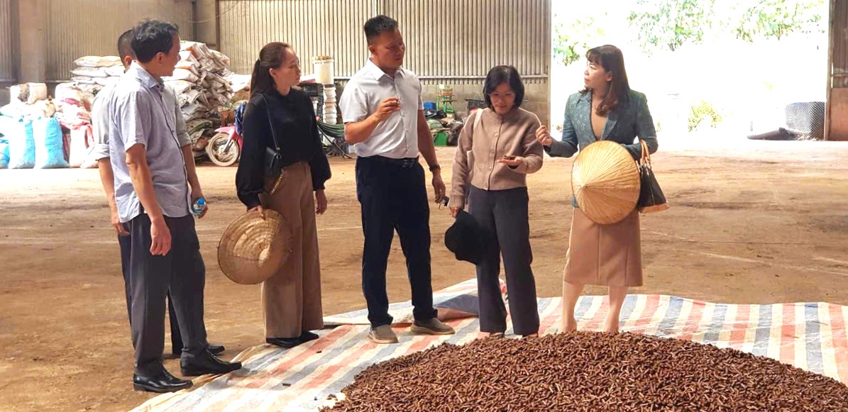6 giải pháp đạt giải Hội thi Sáng tạo nhà nông tỉnh Lâm Đồng lần thứ VIII