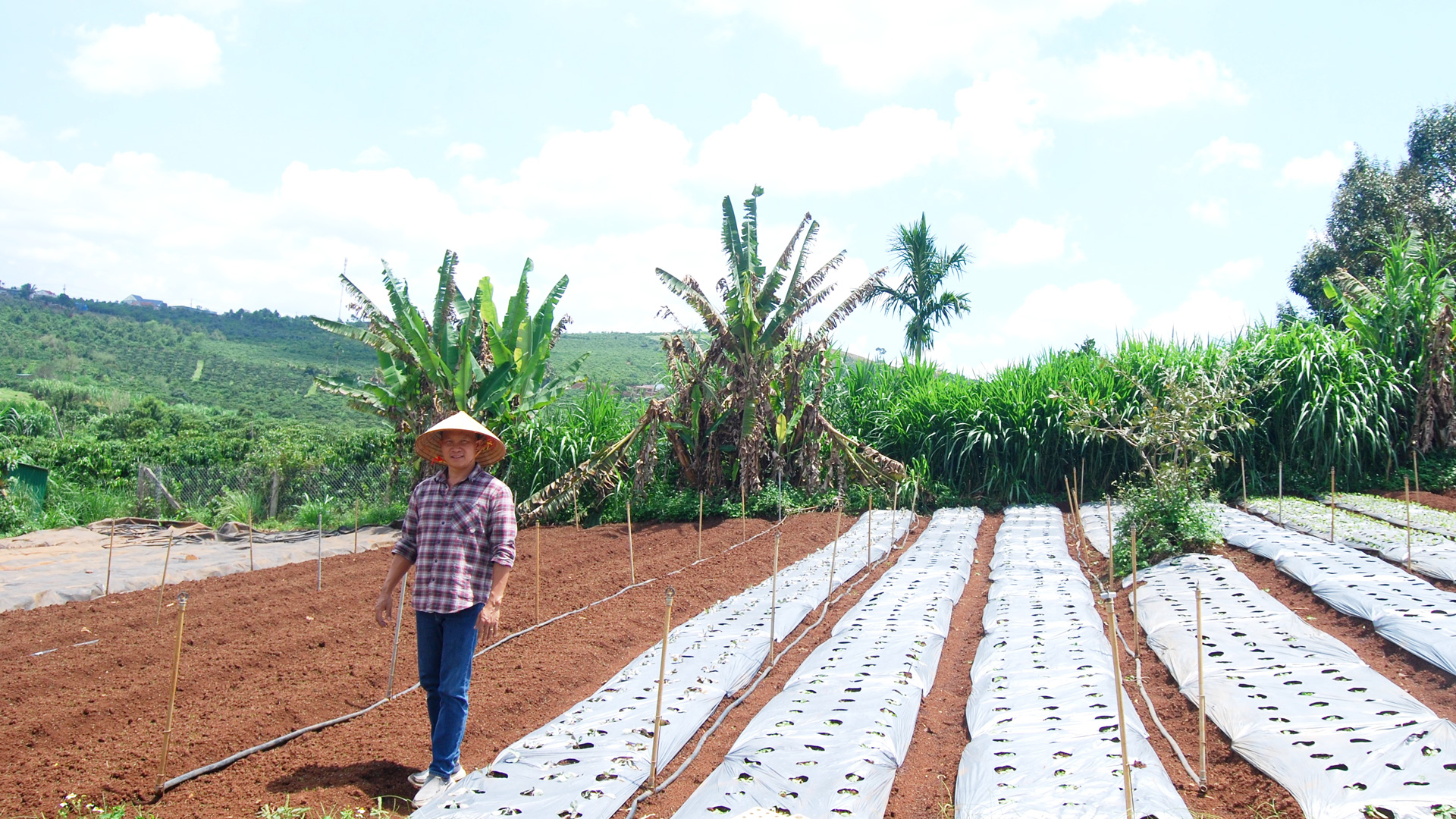 Kết nối biển, rừng với Net Zero (Bài cuối)