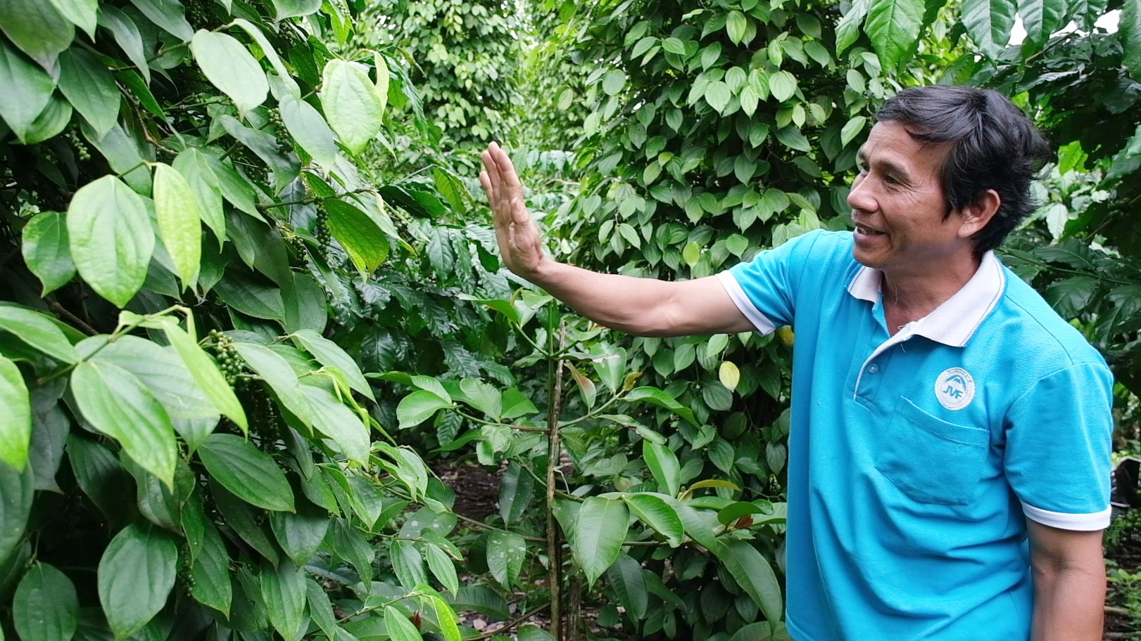 Nông dân Lộc Quảng đa dạng hóa cây trồng