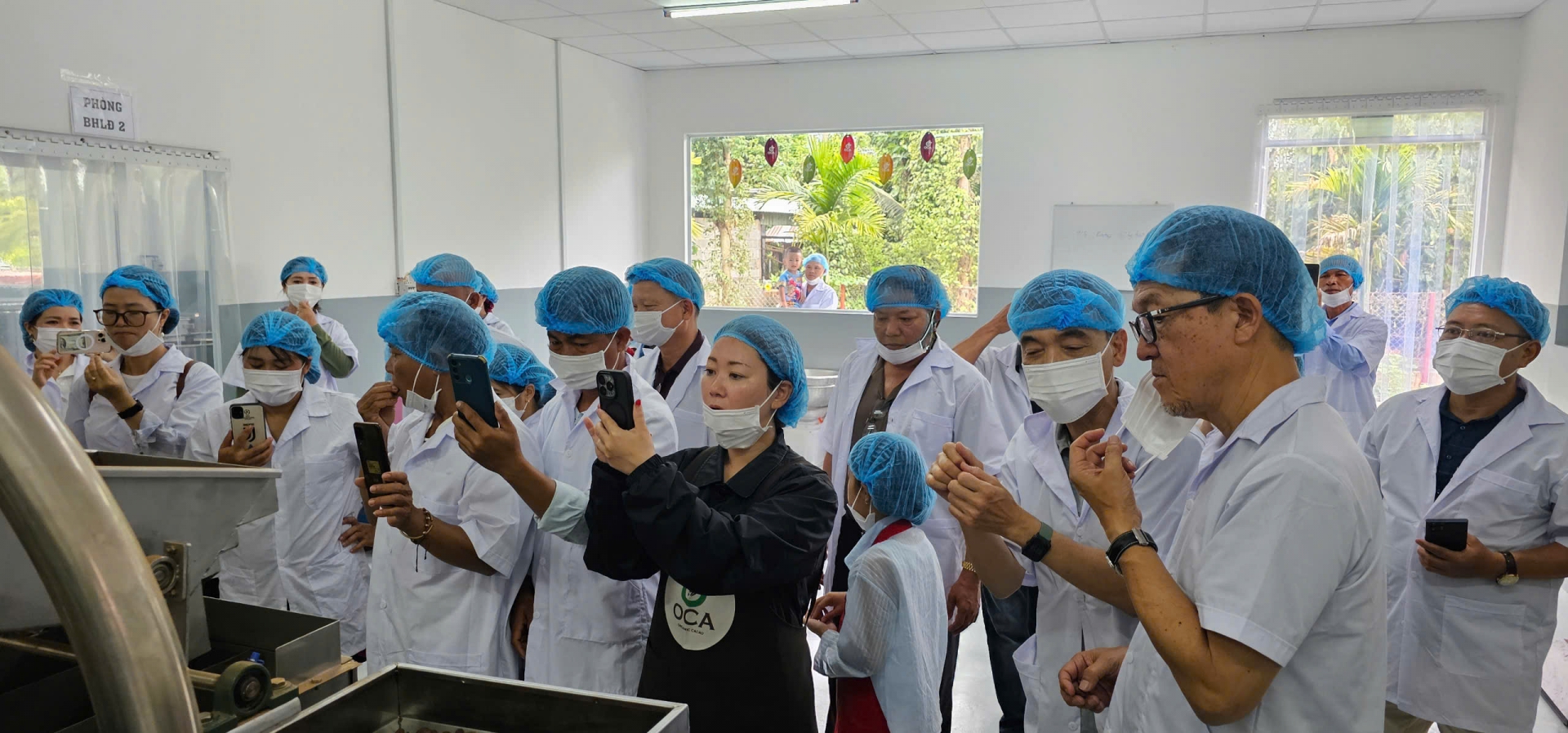 Tìm cơ hội hợp tác phát triển ca cao hữu cơ