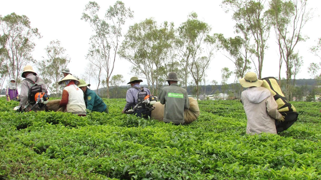 Không ai bị bỏ lại phía sau