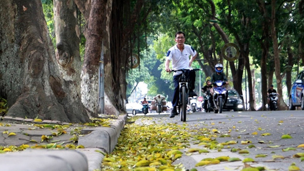 Thời tiết ngày 12/5: Bắc Bộ và Bắc Trung Bộ đêm có mưa, ngày nắng