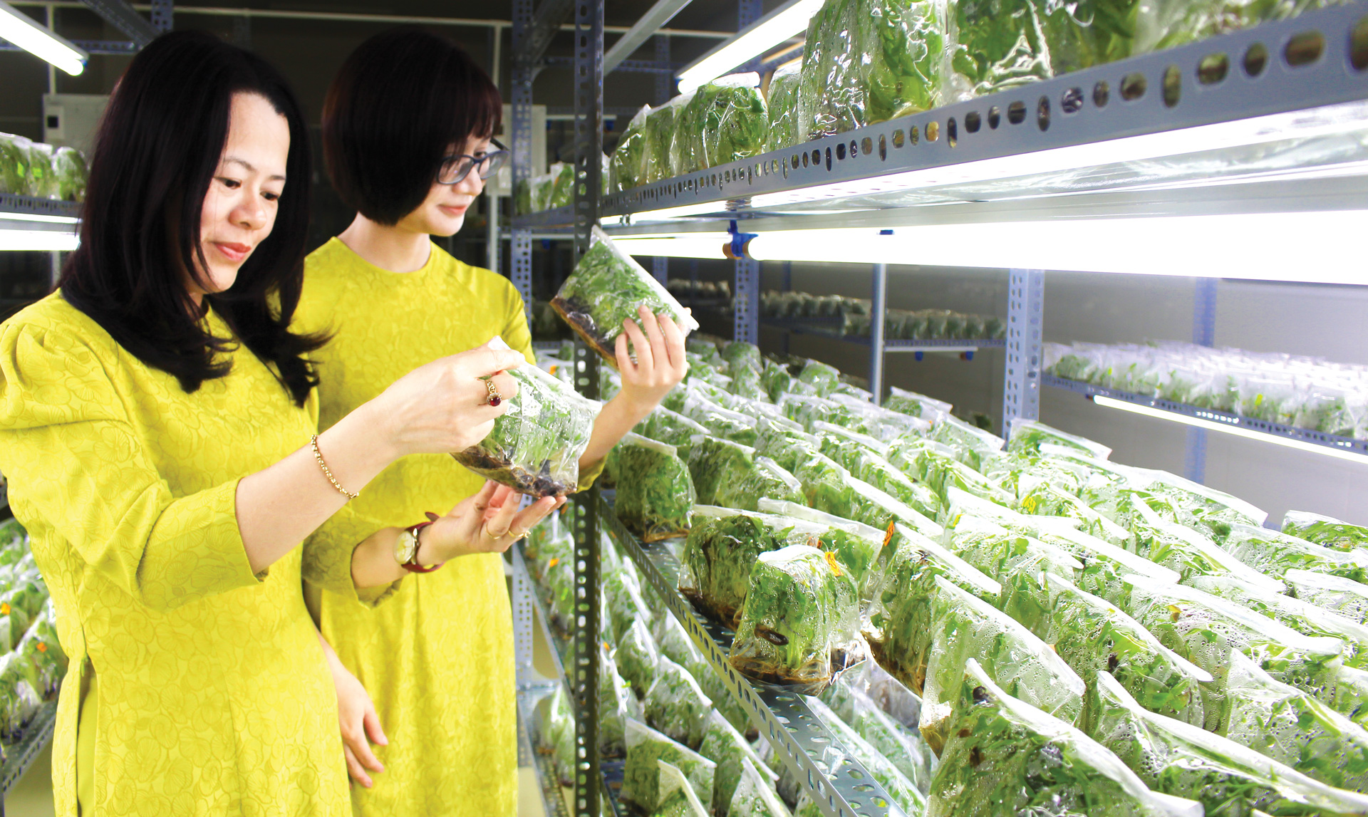 Mở ra không gian nghiên cứu sáng tạo khoa học - công nghệ rộng lớn