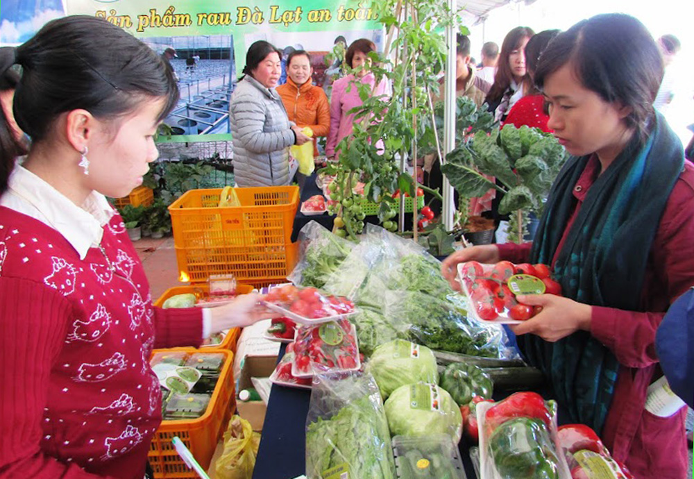 Tân Tiến Đà Lạt - ngôi sao HTX toàn quốc