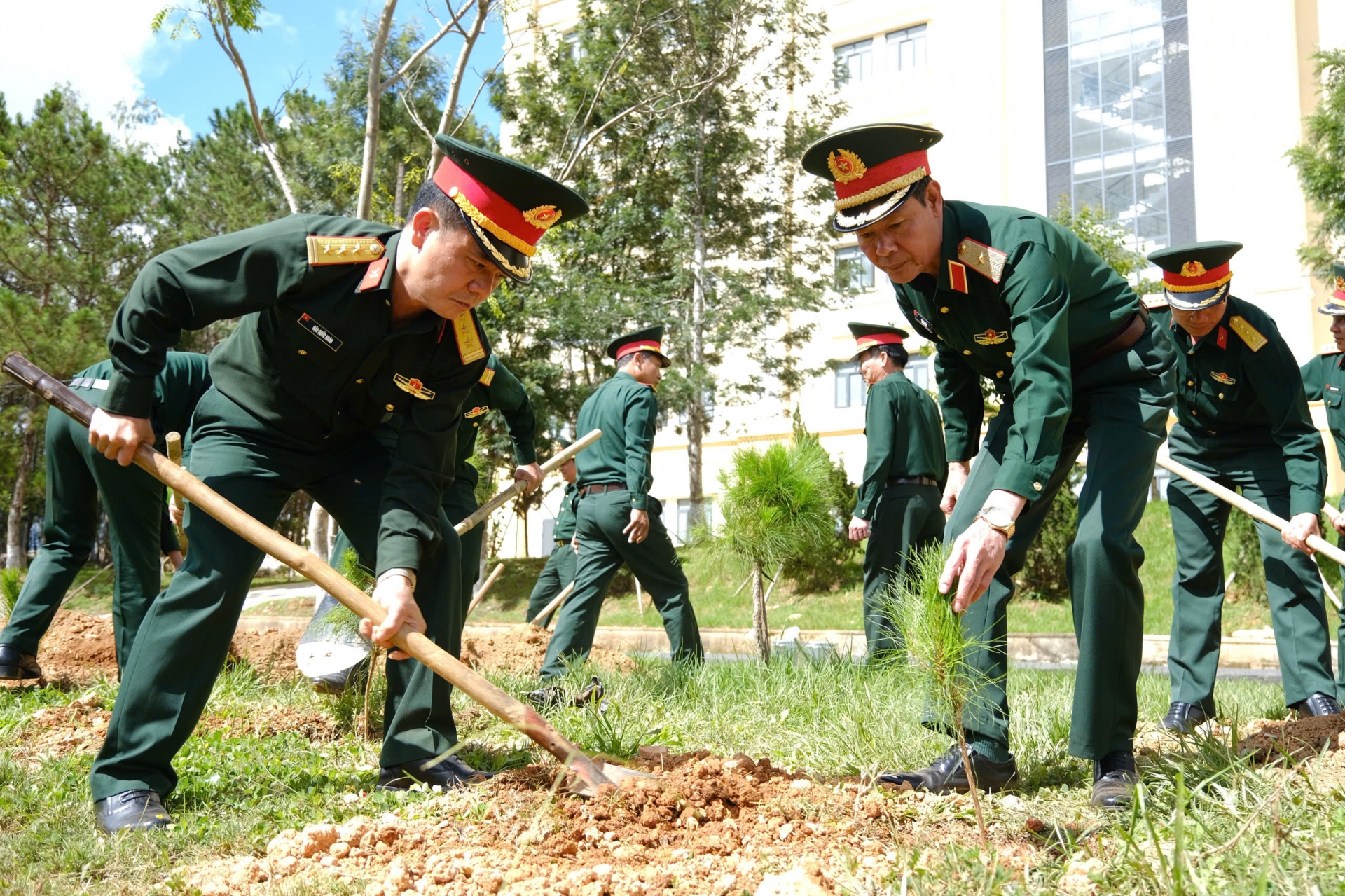 Các đơn vị, địa phương phát động “Tết trồng cây đời đời nhớ ơn Bác Hồ"