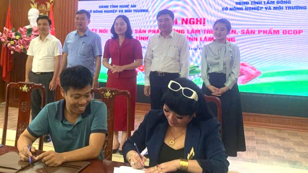 Tiêu thụ hơn 2 tấn bơ 034 trong ngày đầu ký kết hợp đồng