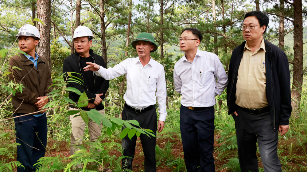 Chủ tịch UBND tỉnh kiểm tra tình hình chống sạt lở tại các dự án, công trình xây dựng trên địa bàn TP Đà Lạt