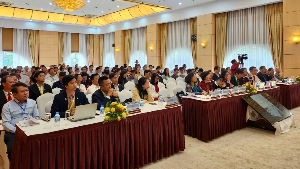 Giấc ngủ tối cần thiết cho sức khỏe