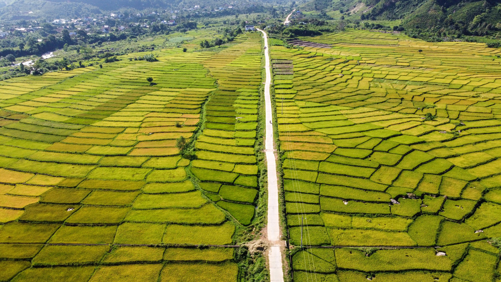 ''Dệt'' nên những mùa vàng