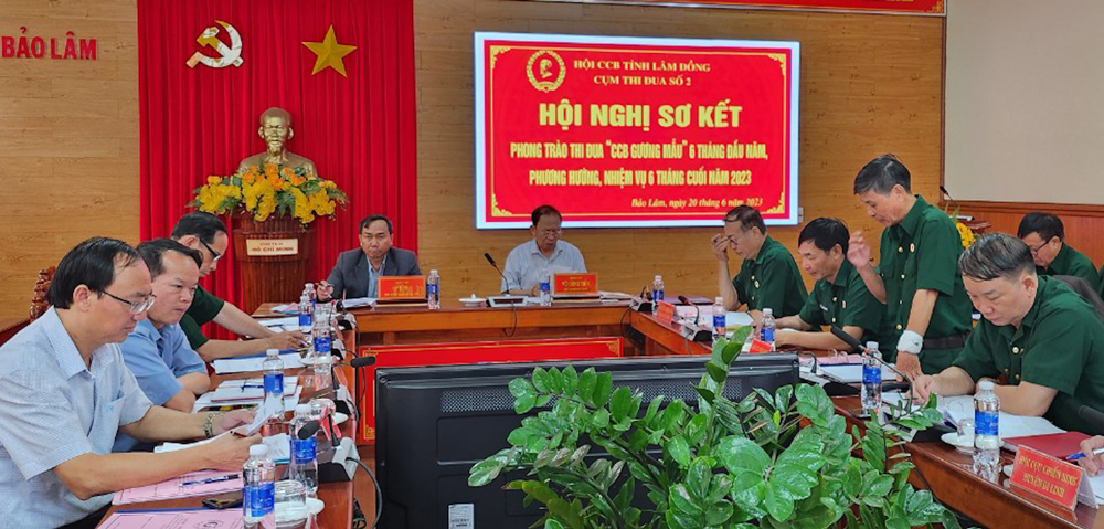 Sơ kết phong trào thi đua “Cựu chiến binh gương mẫu”